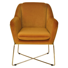 Dover Velvet Armchair